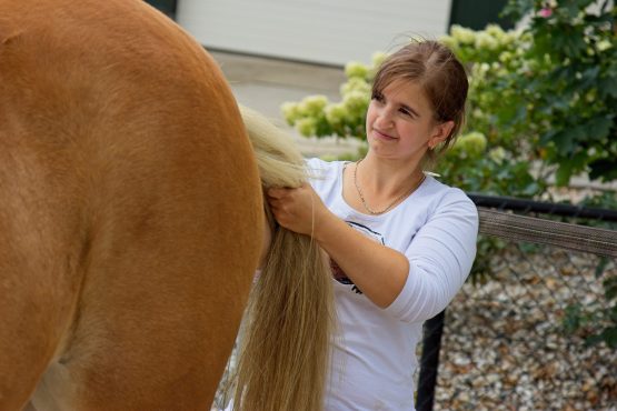 Rug strekken paard